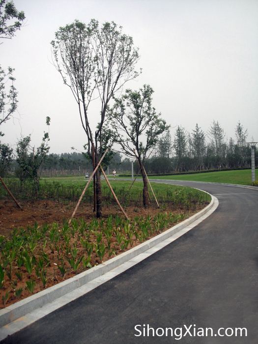 泗洪縣生態(tài)體育公園 泗洪城東體育公園 泗洪體育公園